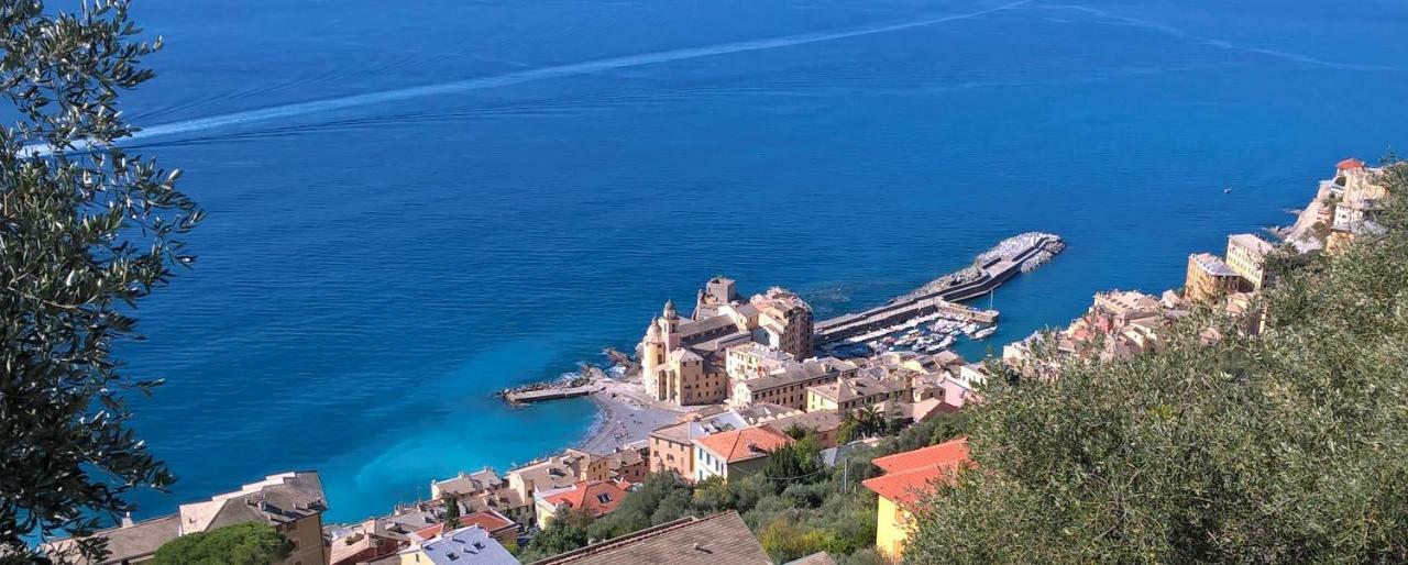 Camogli Golfo Paradiso La Casa Del Comandante Ngoại thất bức ảnh